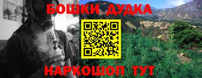 прущие грибы Волгодонск